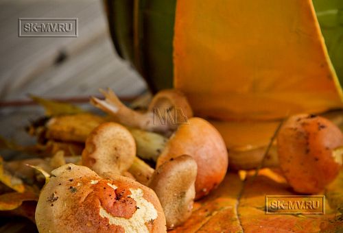 Строительство двухэтажного каркасного коттеджа 180 кв м в альпийском стиле в КП Смартвилль Москва - 7