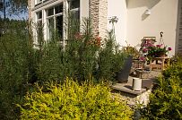 Ландшафтное проектирование участка в Балтийской Ривьере 1 - мини - 14