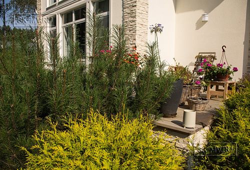 Ландшафтное проектирование участка в Балтийской Ривьере 1 - 14