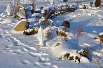 Благоустройство и озеленение участка в д Олики 3 фото - мини - 4