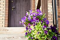 Ландшафтный дизайн территории домовладения в Порошкино 1 - мини - 3