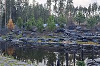 Сосновая аллея - мини - 37