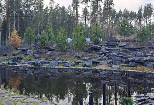 Сосновая аллея - 37