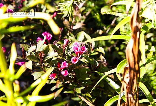 Строительство каркасного двухэтажного дома в п Большая Ижора - 16