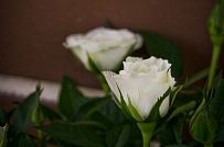 Строительство каркасного теплого зимнего дома 180 кв м для круглогодичного проживания Смартвилль 2 Москва - мини - 4