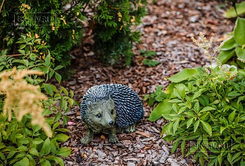 Ландшафтный дизайн участка в Сосновом бору 7 - 6