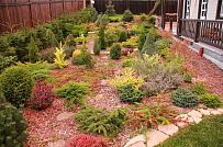 Ландшафтная архитектура участка в Зеркальном - мини - 10