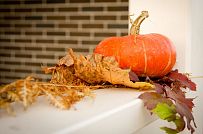 Строительство каркасного коттеджа с кирпичной отделкой в поселке Черничные поля Москва - мини - 6