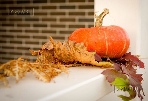 Строительство каркасного коттеджа с кирпичной отделкой в поселке Черничные поля Москва - 6