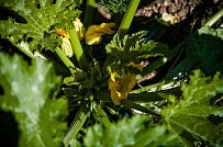 Построенный в п Озеро Отрадное небольшой двухэтажный теплый зимний каркасный дом площадью 165 кв м с террасой - мини - 2