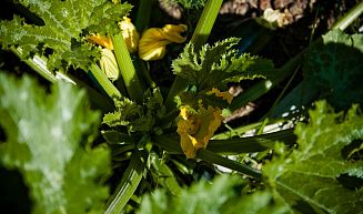 Озеро Отрадное -- 2