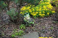 Ландшафтная архитектура участка в Зеркальном - мини - 2