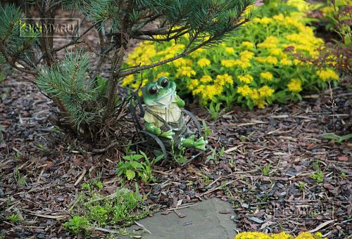 Ландшафтная архитектура участка в Зеркальном - 2