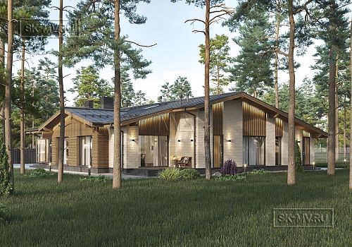 Проект "Рощино 20" -- 13685