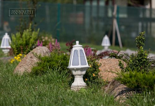 Благоустройство и озеленение участка в д Олики 3 фото - 20