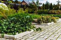 Ландшафтное проектирование участка в Сосновом бору 4 - мини - 12