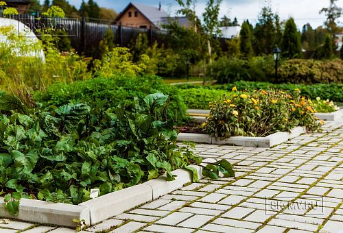 Ландшафтное проектирование участка в Сосновом бору 4 - 12