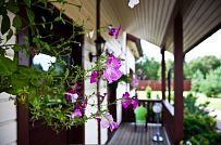 Строительство каркасного теплого дома с террасой и балконом в п Энколово - мини - 7