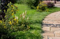 Ландшафтная архитектура участка в Пегелево - мини - 39