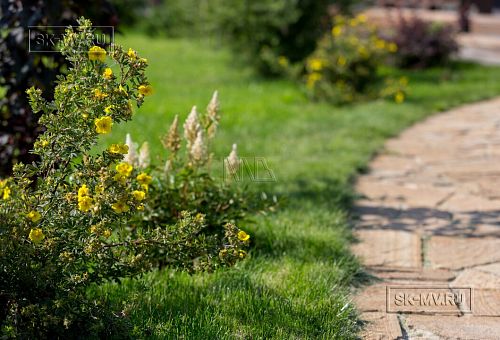 Ландшафтная архитектура участка в Пегелево - 39