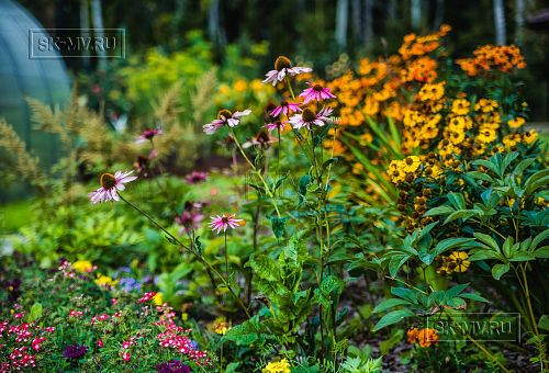 Ландшафтный дизайн участка в Сосновом бору 7 - 9